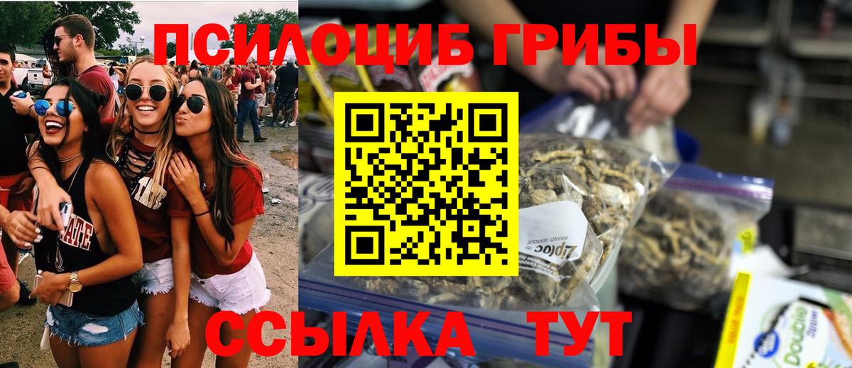 Галлюциногенные грибы Cubensis  Вход с VPN  что такое   Ревда 