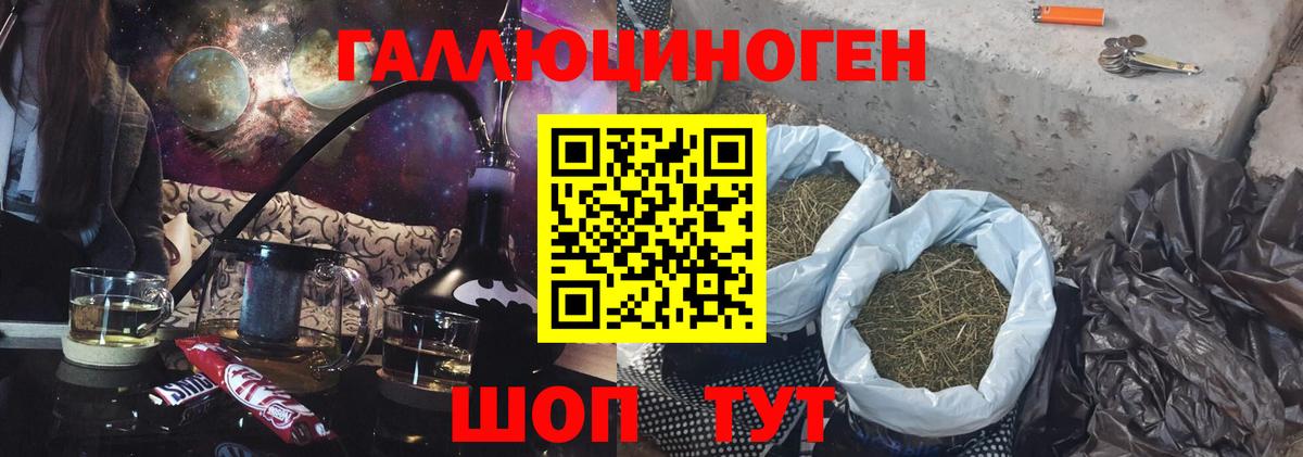 Псилоцибиновые грибы Cubensis Ревда